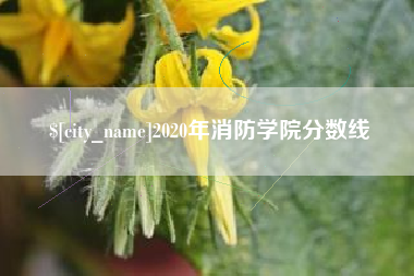 宜城2020年消防学院分数线