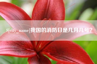宜城我国的消防日是几月几号？