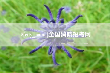 宜城全国消防招考网