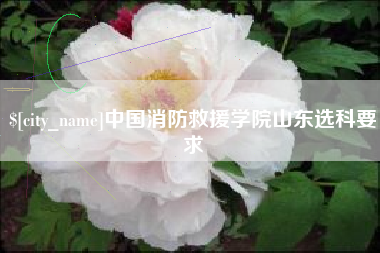 宜城中国消防救援学院山东选科要求