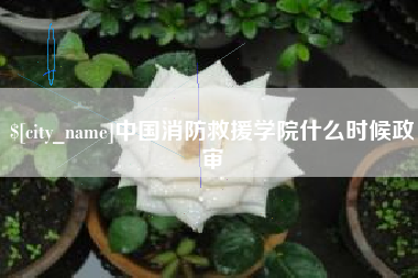 宜城中国消防救援学院什么时候政审