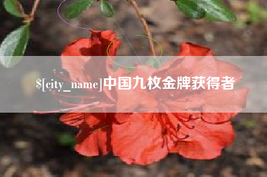 宜城中国九枚金牌获得者