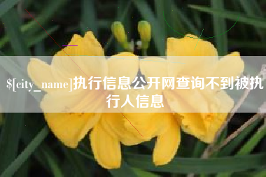 宜城执行信息公开网查询不到被执行人信息