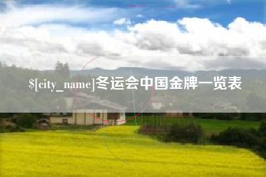 宜城冬运会中国金牌一览表