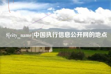 宜城中国执行信息公开网的地点
