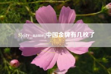 宜城中国金牌有几枚了