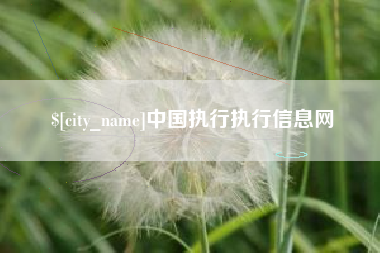 宜城中国执行执行信息网