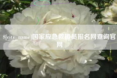 宜城国家应急救援员报名网查询官网