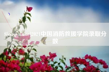 宜城2021中国消防救援学院录取分数