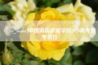 宜城中国消防救援学院2020高考报考条件