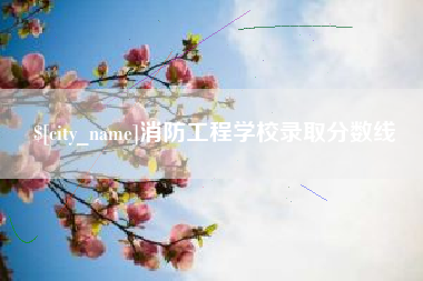 宜城消防工程学校录取分数线