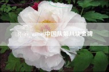 宜城中国队第八块金牌