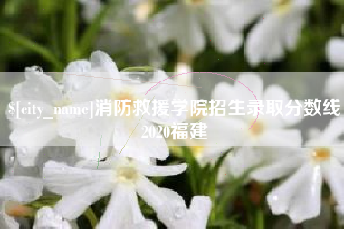 宜城消防救援学院招生录取分数线2020福建