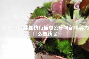 宜城中国执行信息公开网官网app为什么要钱呢
