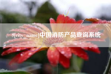 宜城中国消防产品查询系统