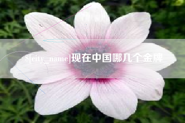 宜城现在中国哪几个金牌