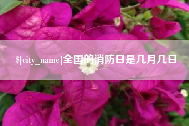 宜城全国的消防日是几月几日