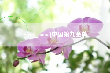 宜城中国第九金牌
