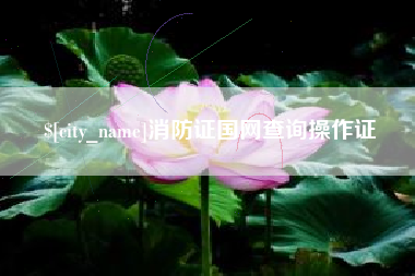 宜城消防证国网查询操作证