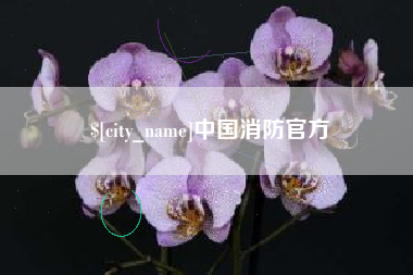 宜城中国消防官方