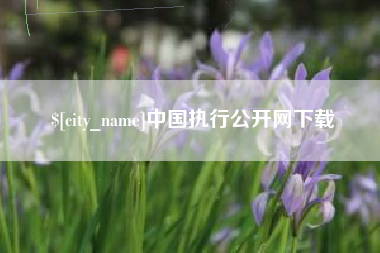 宜城中国执行公开网下载