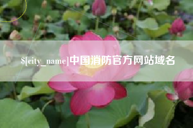 宜城中国消防官方网站域名