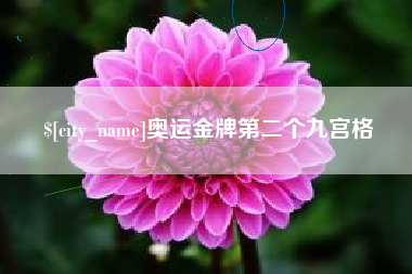 宜城奥运金牌第二个九宫格