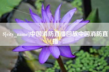 宜城中国消防直播回放中国消防直播