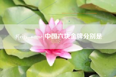 宜城中国六块金牌分别是