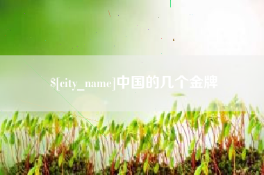 宜城中国的几个金牌