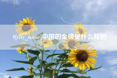 宜城中国的金牌是什么样的