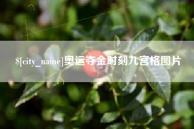 宜城奥运夺金时刻九宫格图片