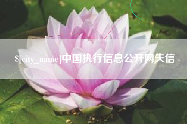 宜城中国执行信息公开网失信