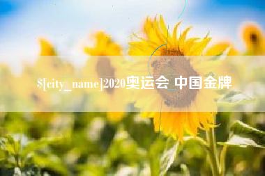 宜城2020奥运会 中国金牌