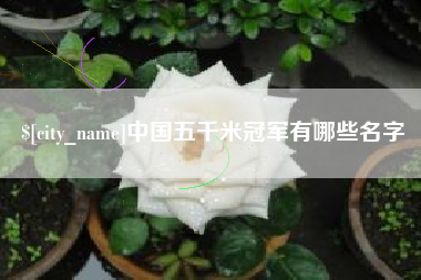 宜城中国五千米冠军有哪些名字