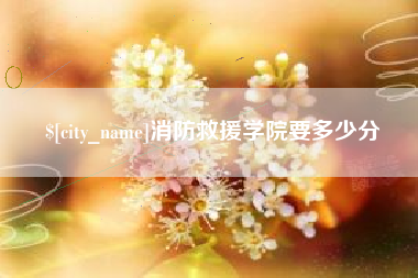 宜城消防救援学院要多少分