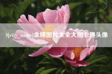 宜城金牌图片大全大图卡通头像