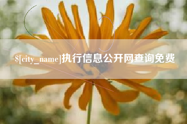 宜城执行信息公开网查询免费