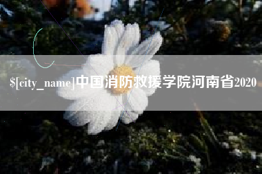 宜城中国消防救援学院河南省2020